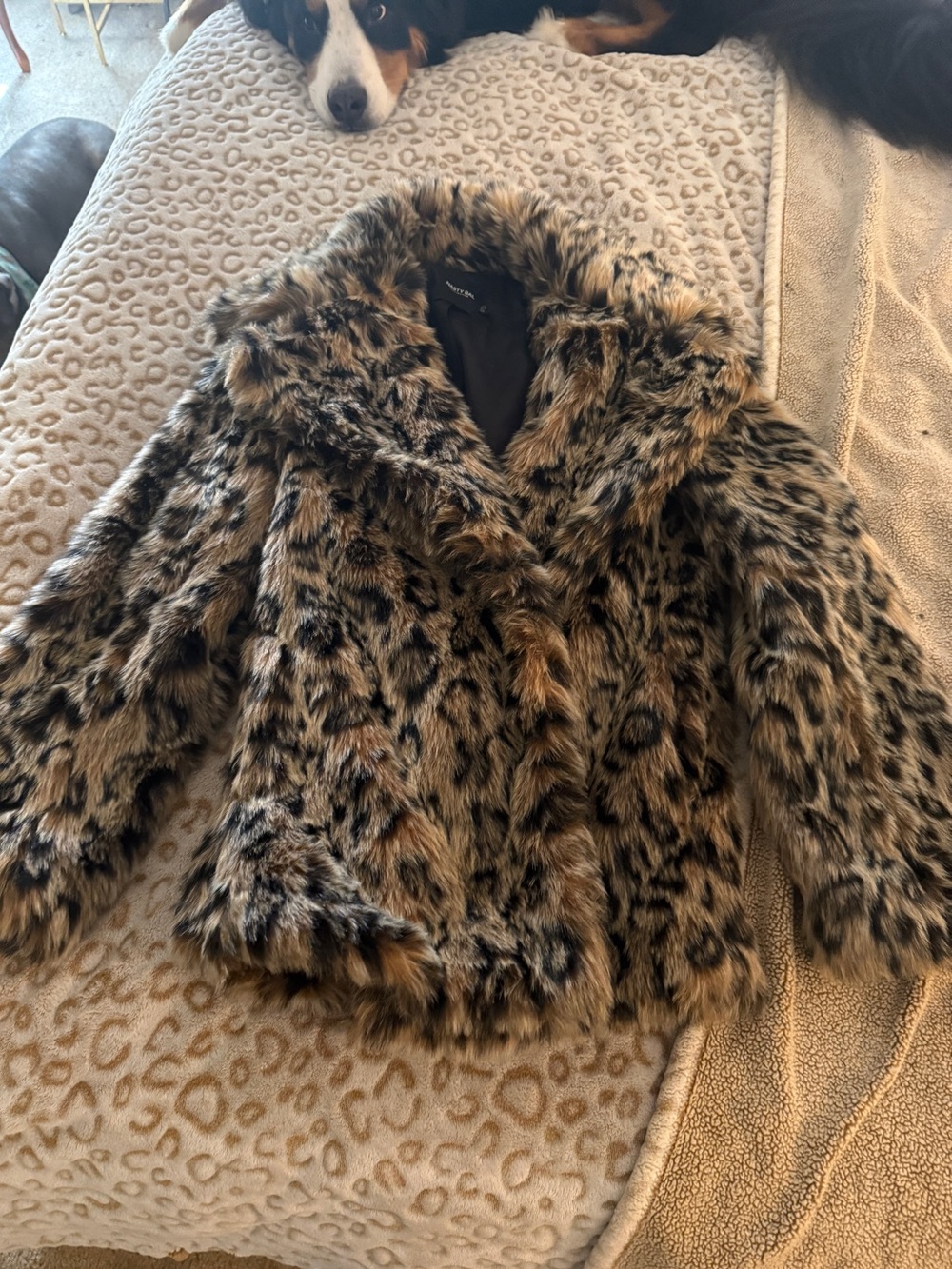 Nasty Gal Leopard Print Faux Fur Jacket - Brown & Black